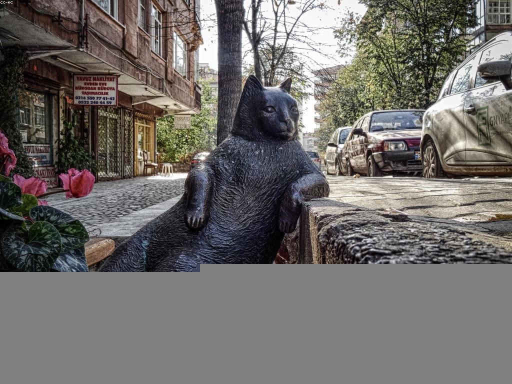 សារៈសំខាន់នៃយុទ្ធសាស្ត្រនៅក្នុងកីឡាវាយប្រហារ