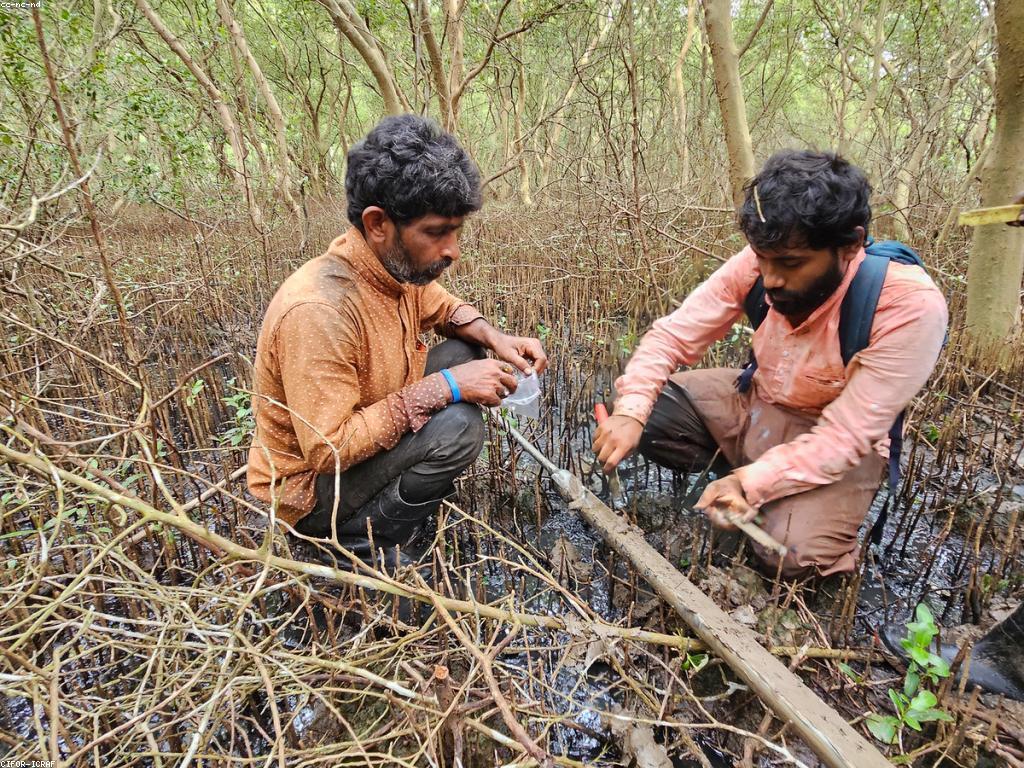 ការយល់ដឹងអំពីកម្មវិធីសាស្ត្រ