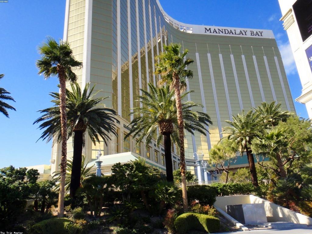 ការណែនាំអំពីកាស៊ីណូអនឡាញ