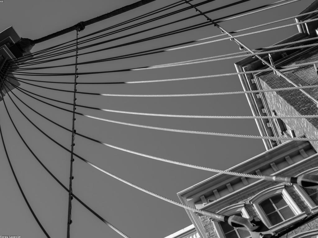 ការកែលម្អបច្ចេកវិទ្យាកាស៊ីណូអនឡាញ