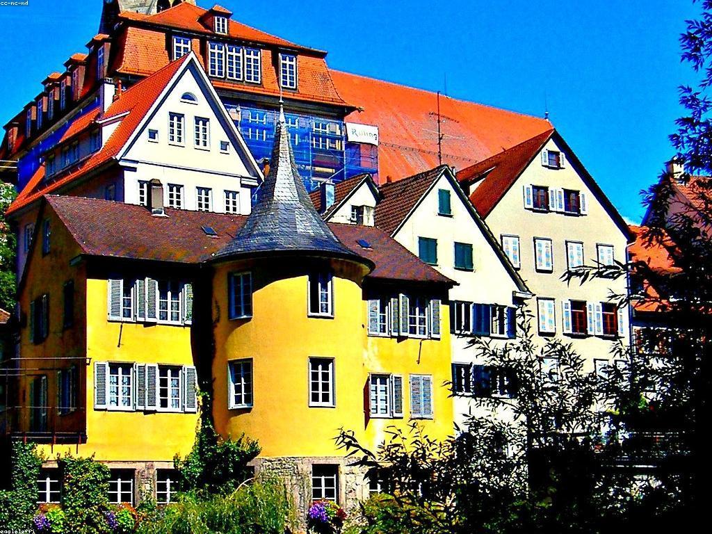 ការយល់ដឹងអំពីកម្មវិធីមាសទ្រ